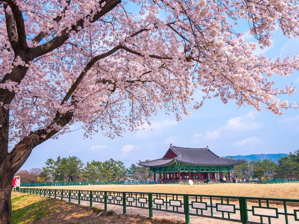 Viaggio in Corea del Sud